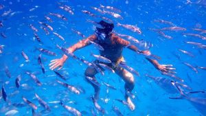 snorkel con peces en fuerteventura, canarias