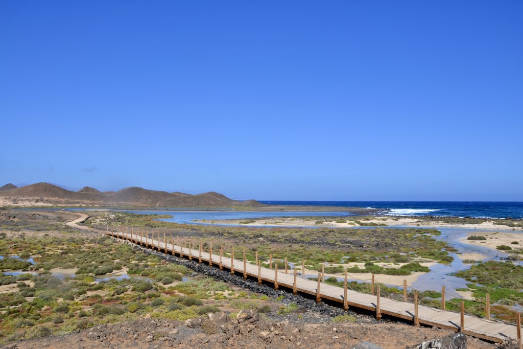 las lagunitas isla de lobos