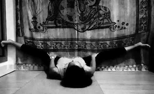 LIBÉLULA EN LA PARED