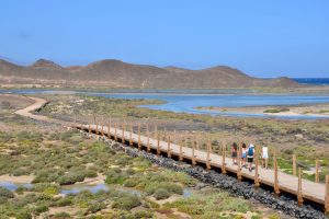 foto isla de lobos las lagunitas