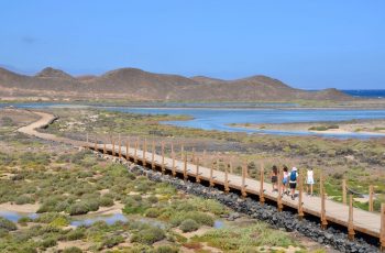 4. La Montaña de La Caldera